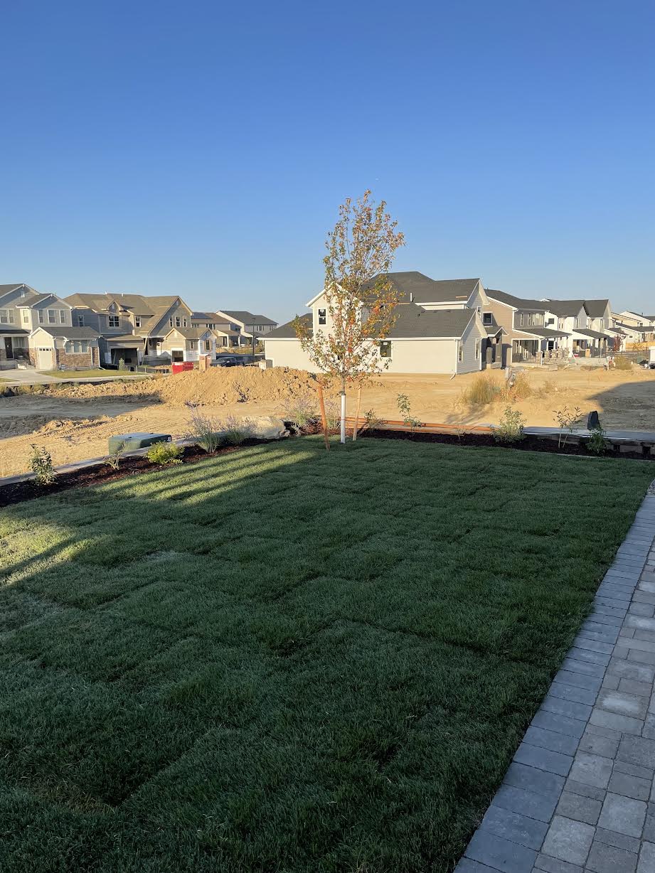Professional Lawn Installation with Retaining Wall & Landscape Design